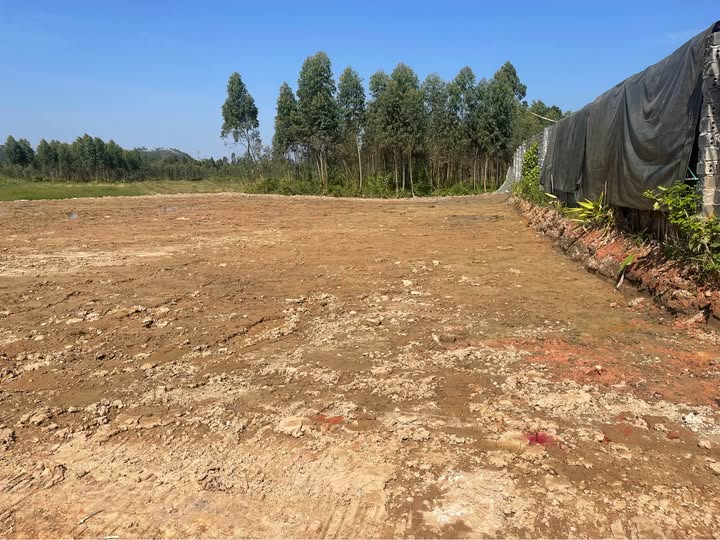 Chính chủ bán gấp 2 lô liền kề, cơ hội vàng cho các nhà đầu tư thông thá