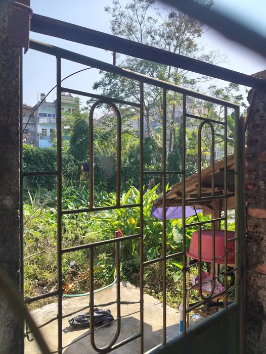 Đất Sông Bằng view chill, đầu tư đỉnh