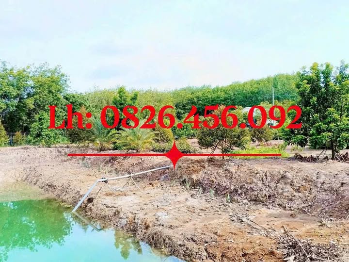 Đất 3,8 sào view suối, hồ, giá bể cho dân mê nhà vườn