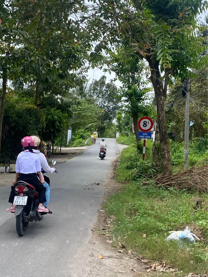 Đất vàng Bến Tre vuông vức 425m2, sổ hồng sẵn sàng