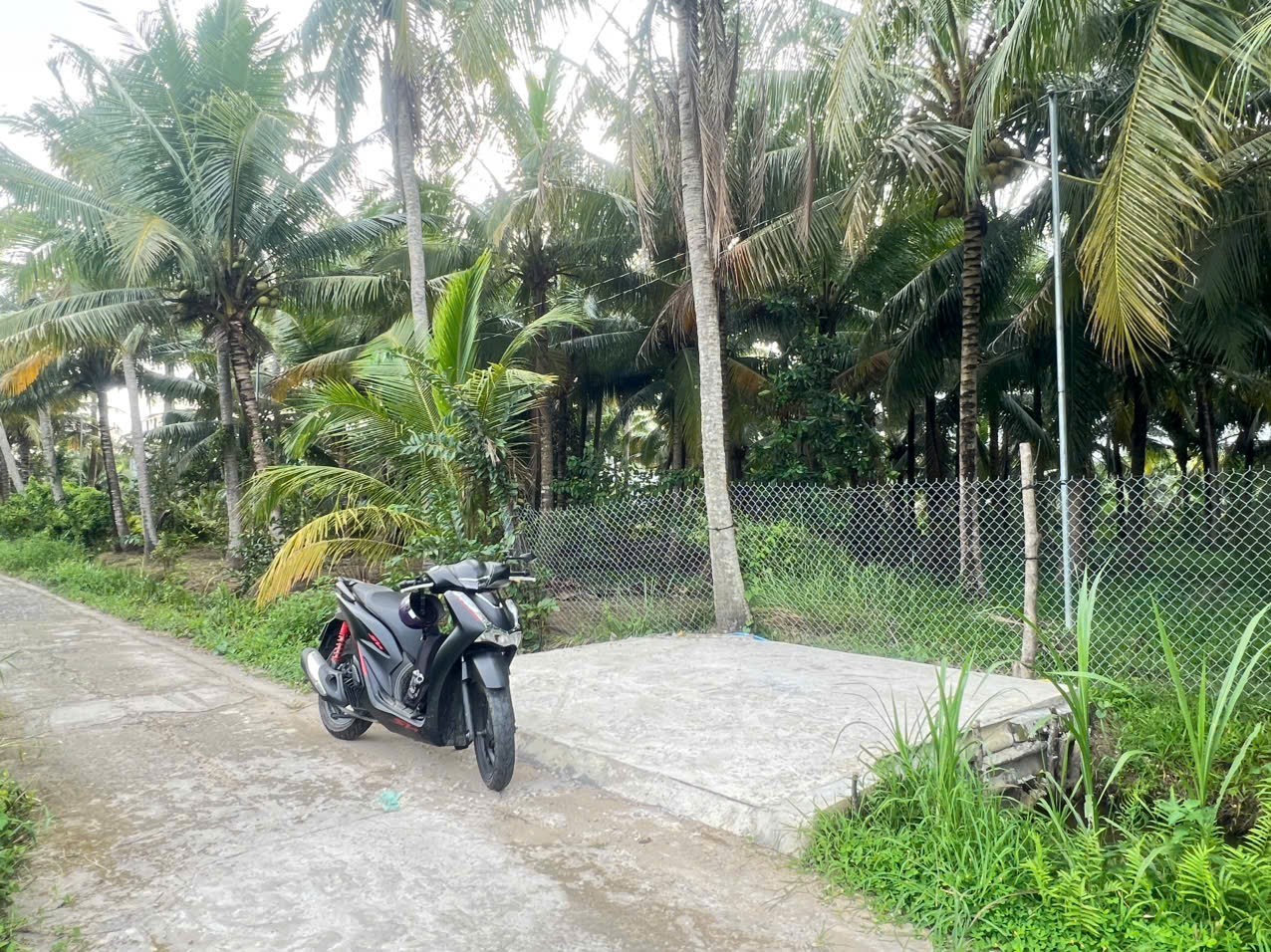 Bán đất tại Phú Tân, Bến Tre, diện tích 500m2, giá 1 tỷ, hẻm xe hơi 7 chỗ