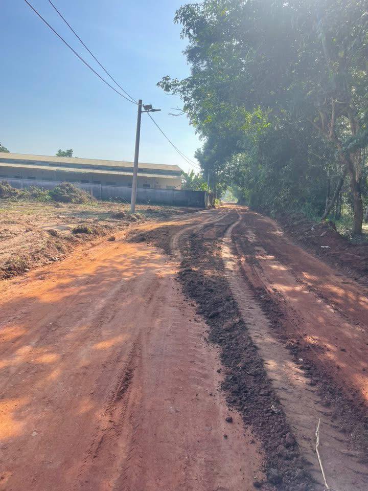 Đất Bình Dương 800 củ khoai cho lô đất đẹp, đầu tư hay xây nhà đều 'ngon'