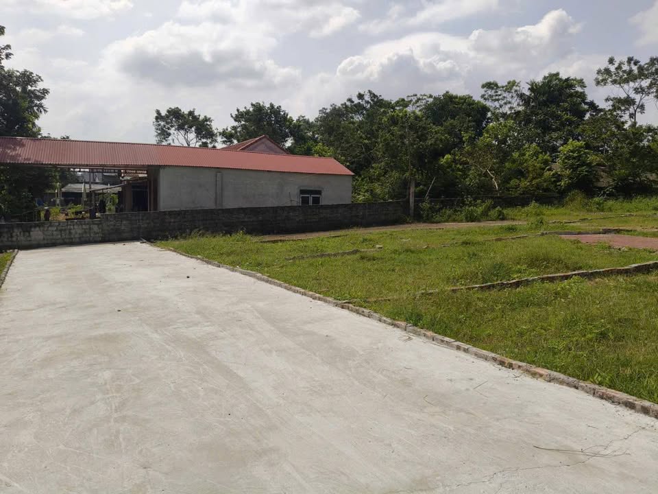 2 Lô đất F0 Tam Đảo chỉ hơn 300 triệu, mặt tiền lý tưởng, nở hậu đón tài lộc