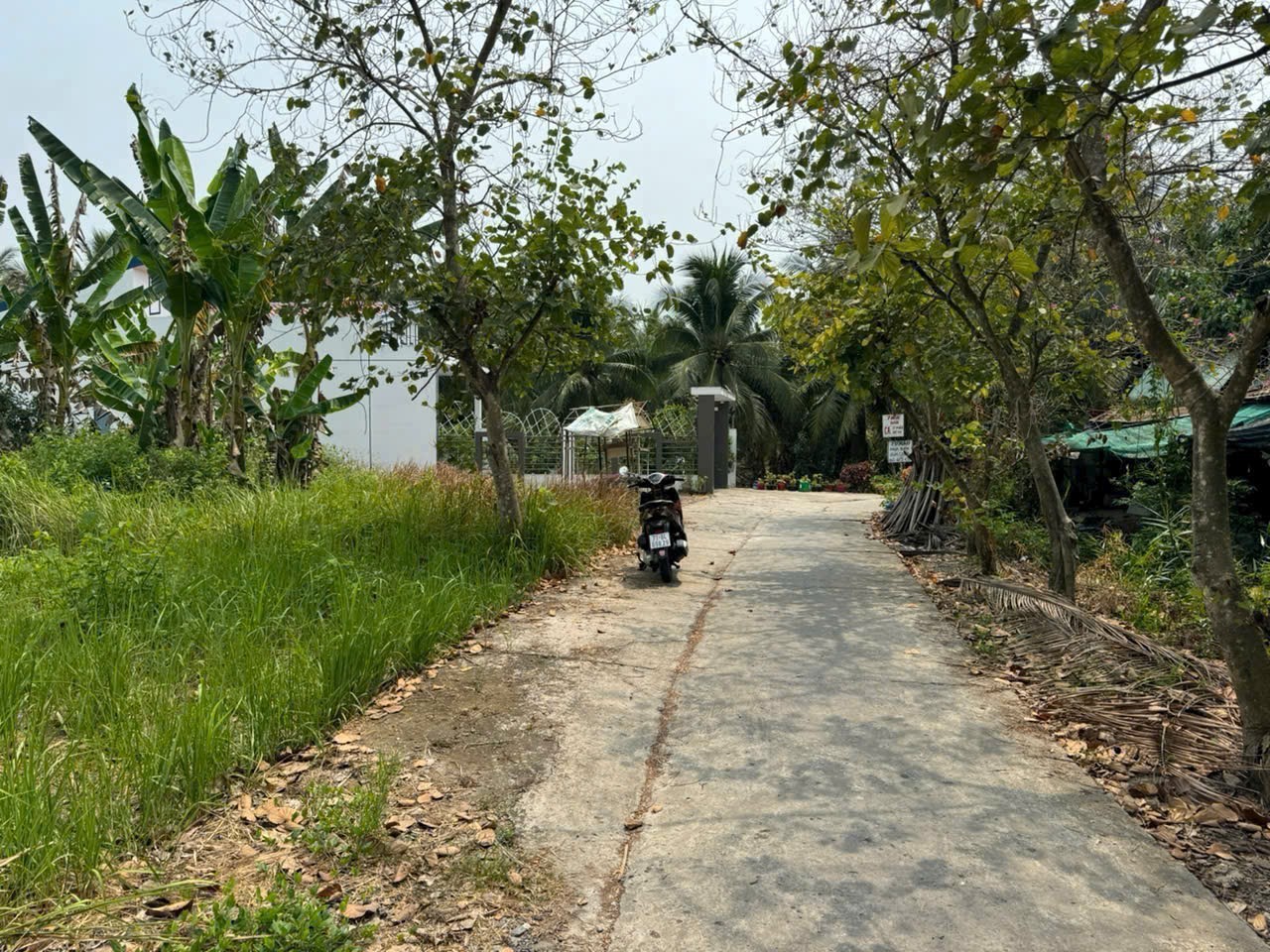 Bán đất thổ cư đắc địa tại xã Phú An, Châu Thành, Bến Tre