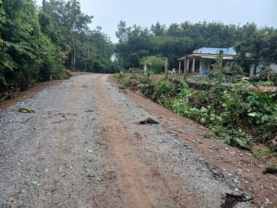 Đất vàng Bàu Bàng Bình Dương, diện tích 5m x 47m, tổng 100m2, siêu đẹp để đầu tư