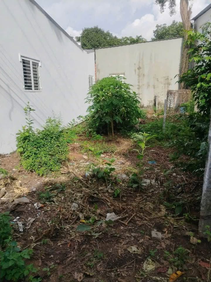 Bán nền lộ xe hơi Bình Khánh, An Giang, 76m2 full thổ cư, sổ riêng, giá hời