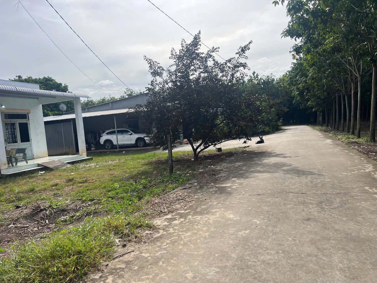 Bán đất tại xã Nha Bích, Chơn Thành, Bình Phước, giá chỉ 690 triệu