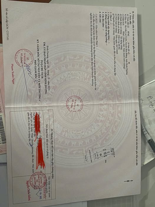 Đất nền góc nội bộ Đức Phát 3, Bình Dương - 80m2 giá tốt