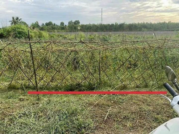 Cần Thơ, nền thổ cư giá rẻ, chỉ 640 triệu đầu tư là lời ngay