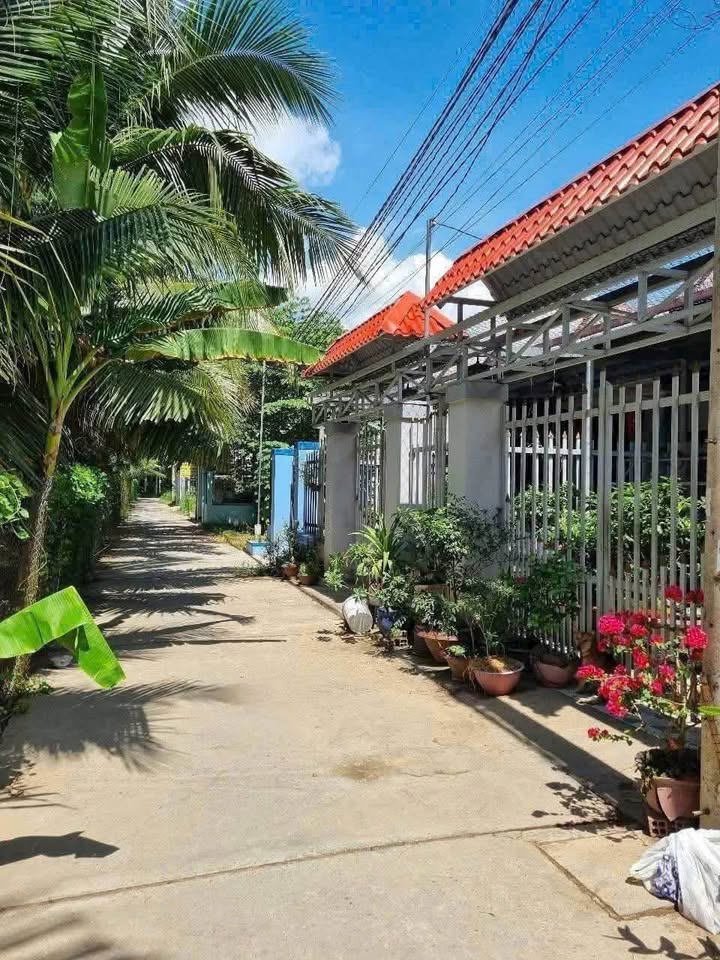 Đất Bến Tre 139m2, 450 triệu, hẻm ô tô, giá hời