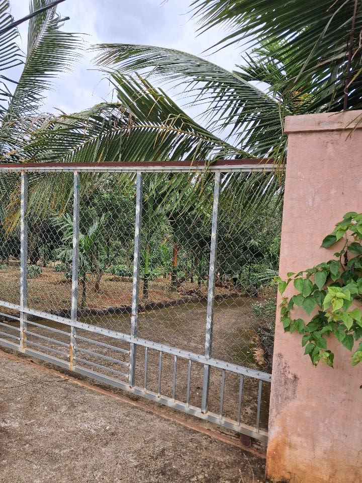 Đất vàng Đắk Lắk, mặt tiền Đỗ Xuân Hợp nối dài, sổ riêng 508m2, giá hời