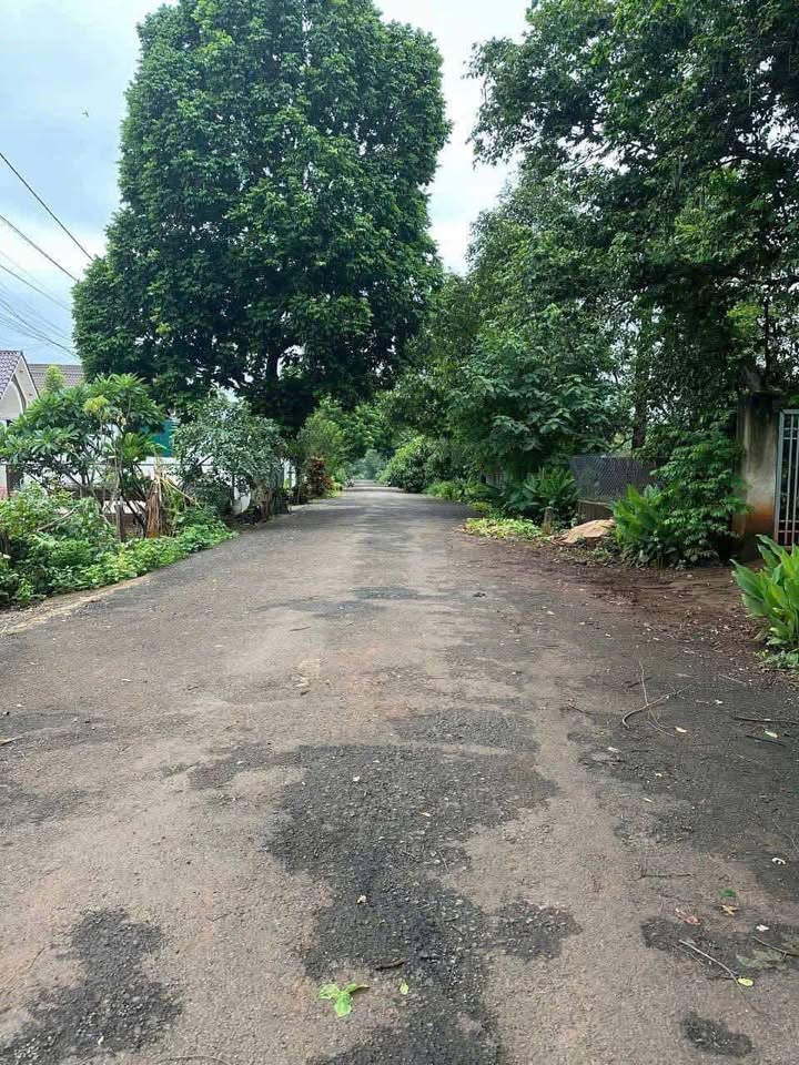 Đất Buôn Ky 6,28m x 38m, 1,85 tỷ, sổ đỏ sẵn sàng, hướng Nam mát rượi