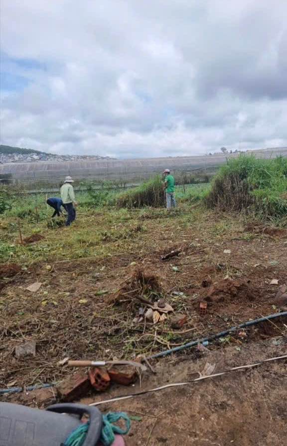 Đất nông nghiệp 82m2 Đà Lạt 690 triệu, hẻm xe hơi rộng rãi