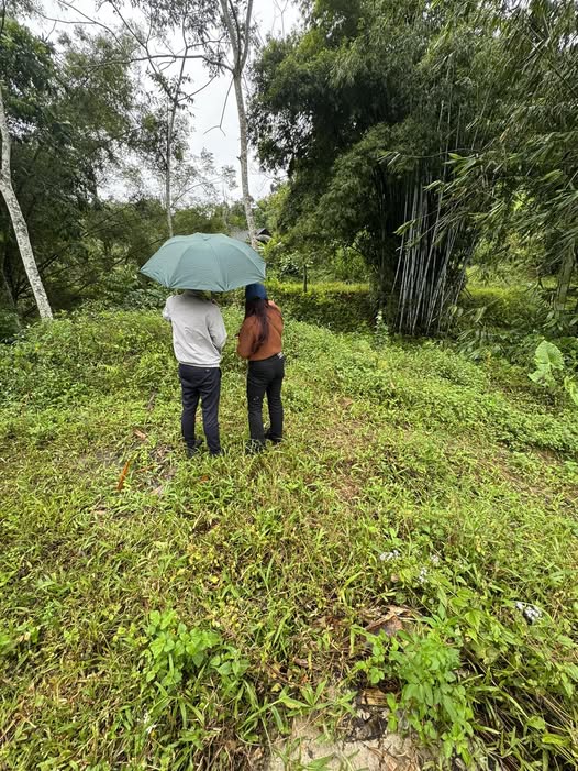 Đất ruộng 7000m2 - Thanh Thịnh, Thái Nguyên, biến hình thành mặt bằng, xe con vào tận nơi