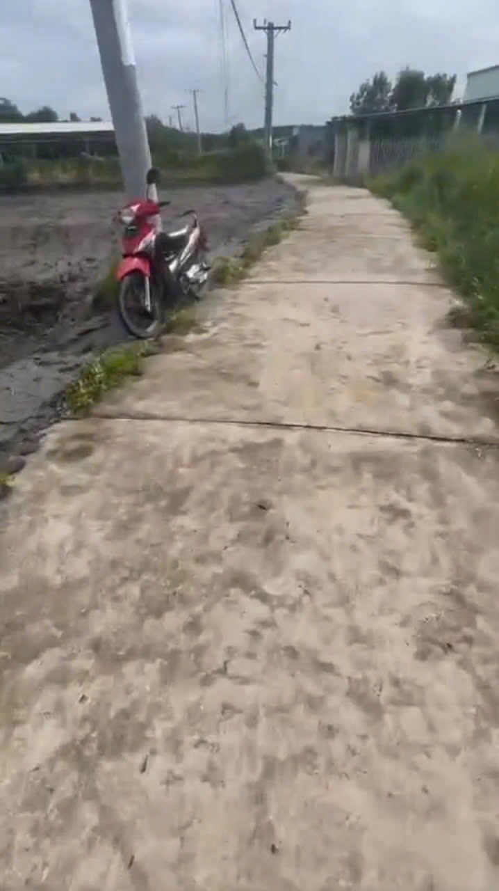 Bán đất vườn tại An Thới Đông, Cần Giờ, gần ngã ba Rừng Sác, đường đan xe hơi vào tận nơi