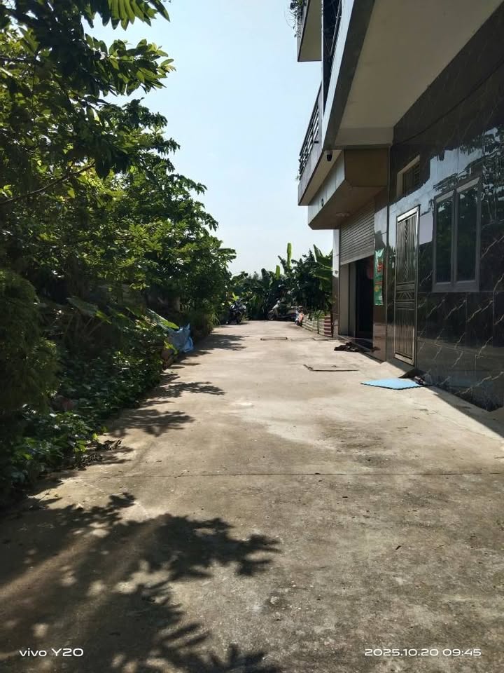 Chào mừng quý vị đến với "mỏ vàng" Bò Sơn Núi, Võ Cường, Bắc Ninh