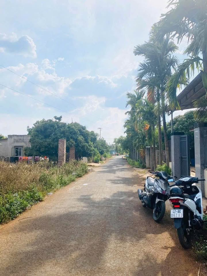 Đất vàng Tân An, Kotam 5mx29,5m, giá nhỉnh 1 tỷ, kinh doanh vô tư