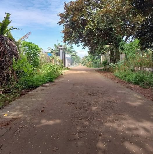 Bán đất biển Hồ, Gia Lai 5m x 25m, 2 lô liền kề, đường 6m, hướng Bắc