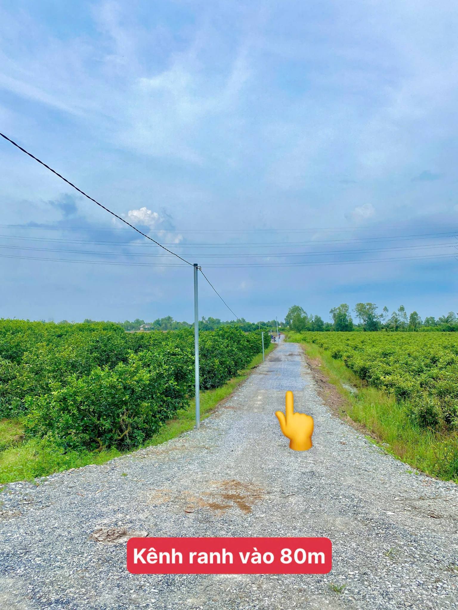 Bán đất vườn mặt tiền kênh 500m² tại Bến Lức, Long An giá 390 triệu