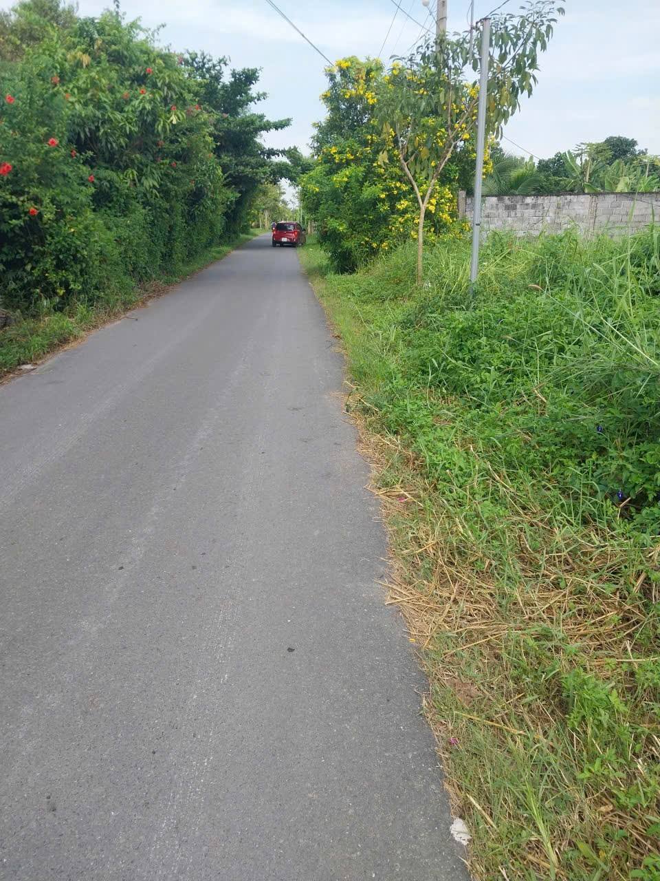 Đất thổ Long An 5x24m, sổ hồng riêng, giá 1.5 tỷ - Mua nhanh kẻo lỡ