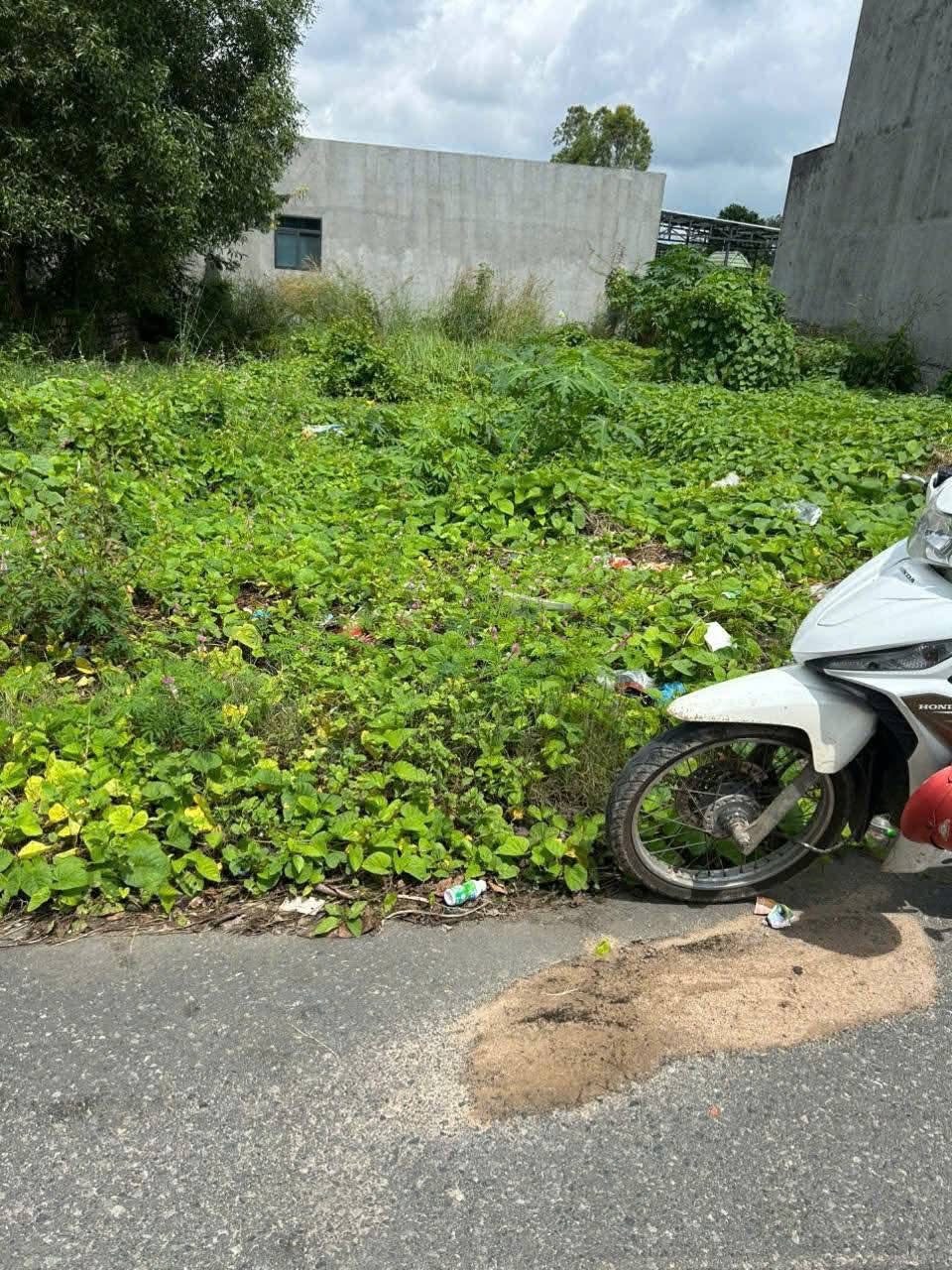 Bán đất nền mặt tiền đường nhựa khu B Hải Lâm, Phước Hưng, Long Hải, giá 2,2 tỷ