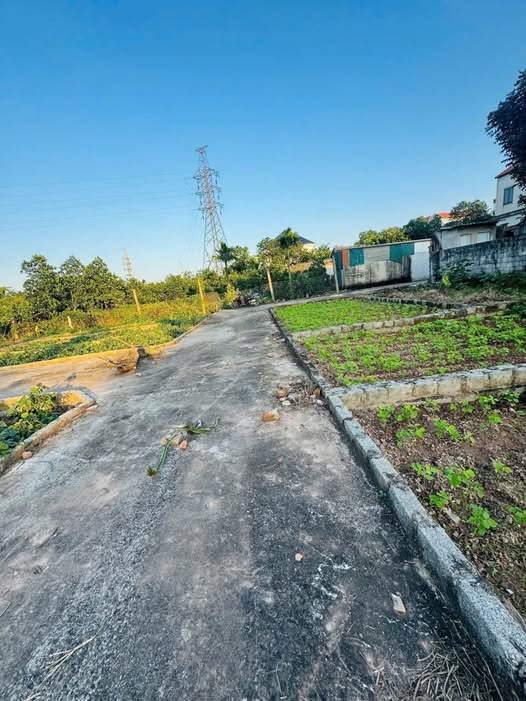 Đất vàng Tô Hiệu, Thường Tín, ô tô vào tận nơi, giá chỉ 2,18 tỷ