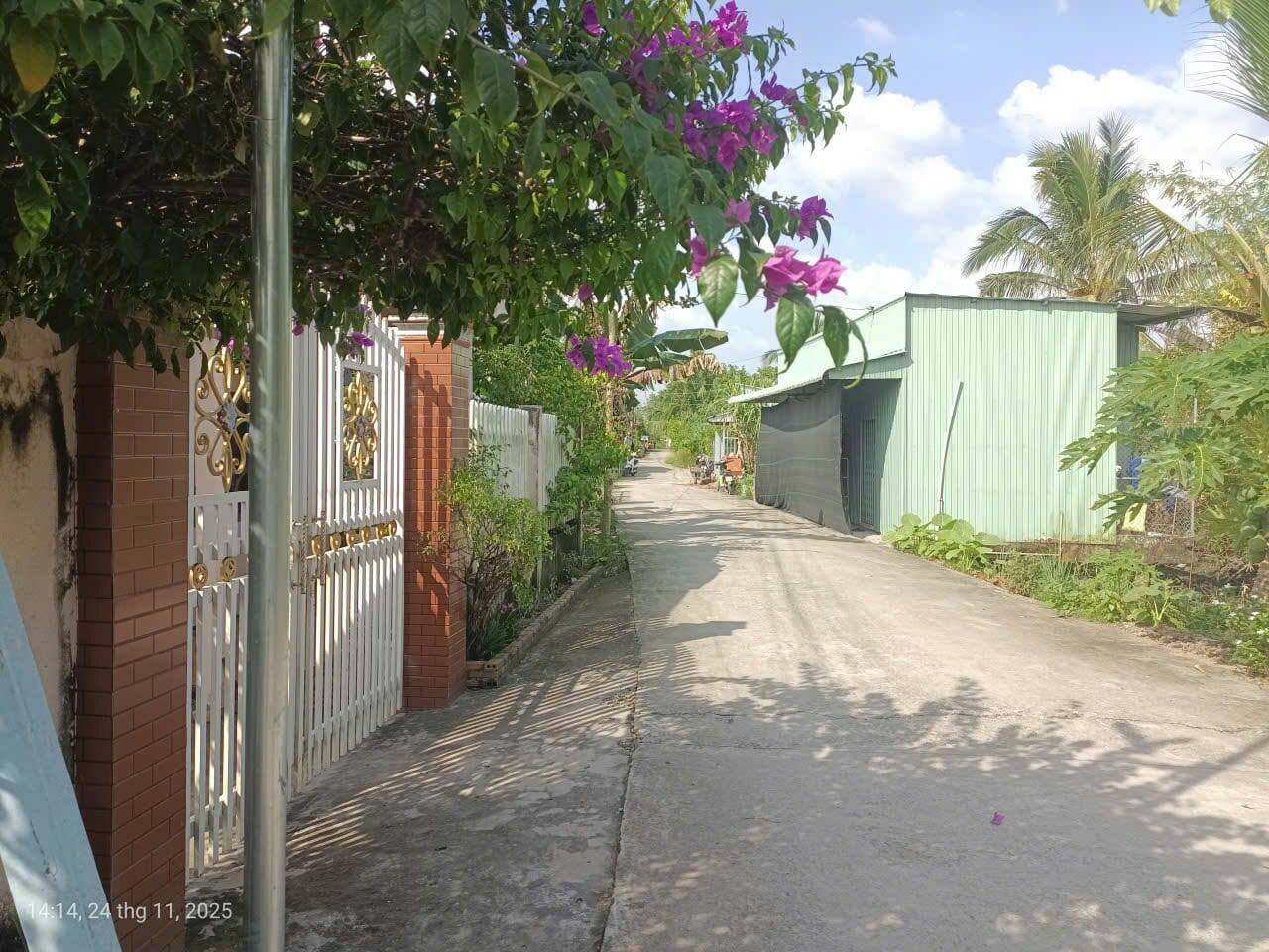 Nhà cấp 4 mái Thái 658m² nghỉ dưỡng ao cá, trồng cây, đậu 2 ô tô, giá hời 2,3 tỷ