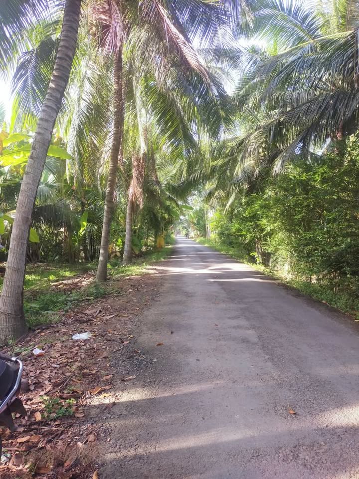 Bán đất vườn 2.100m2 mặt tiền đường lộ nhựa xã Nhơn Thạnh, Bến Tre - Giá tốt