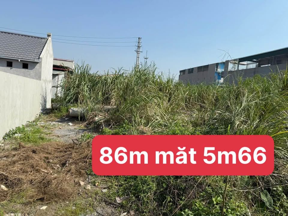 Bán đất Kim Bảng, Hà Nam - 86m2, mặt tiền 5.6m, gần Đại học Công nghiệp