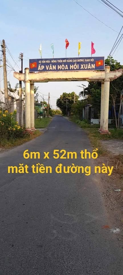Đất mặt tiền đường Trần Văn Giàu, Long An đầu tư sinh lời ngay