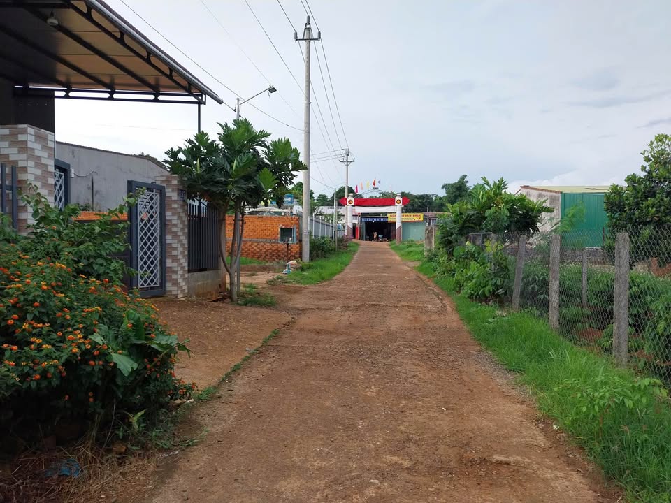 Đất Cưmgar vuông vức, bằng phẳng, gần chợ, trường, trạm, giá 850 củ