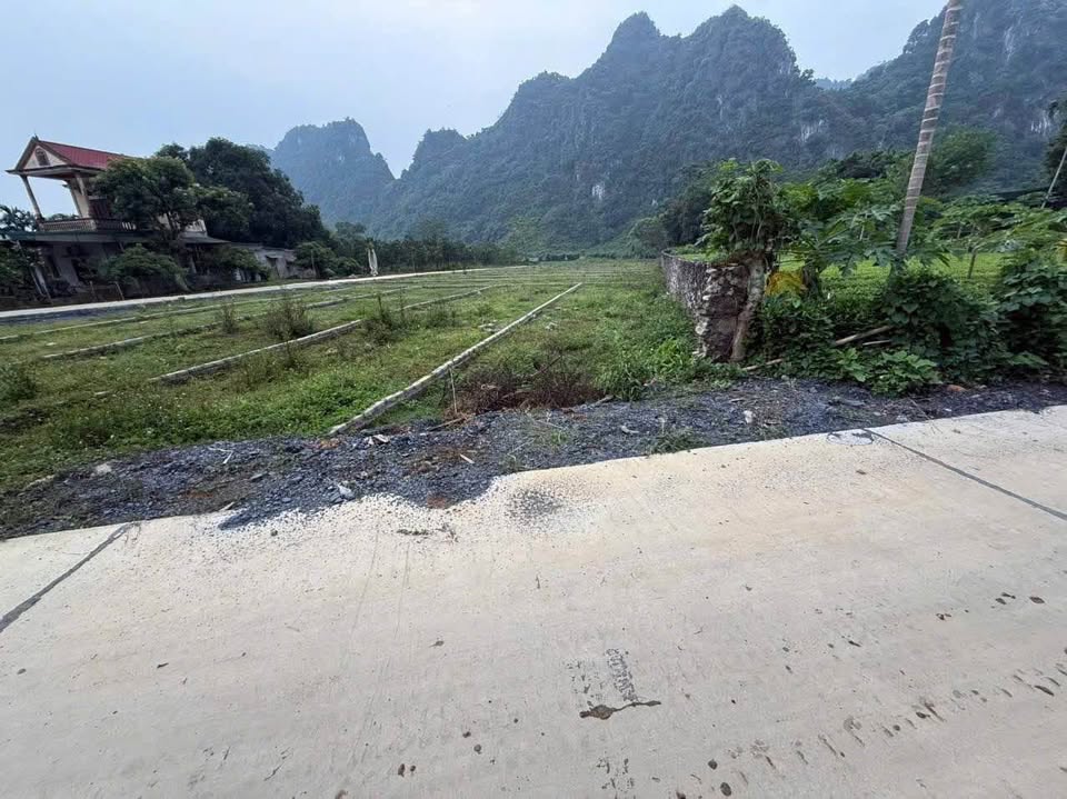 Đất nền Phú Thành, Lạc Thủy, 120m² thổ cư, giá chỉ hơn 300 triệu