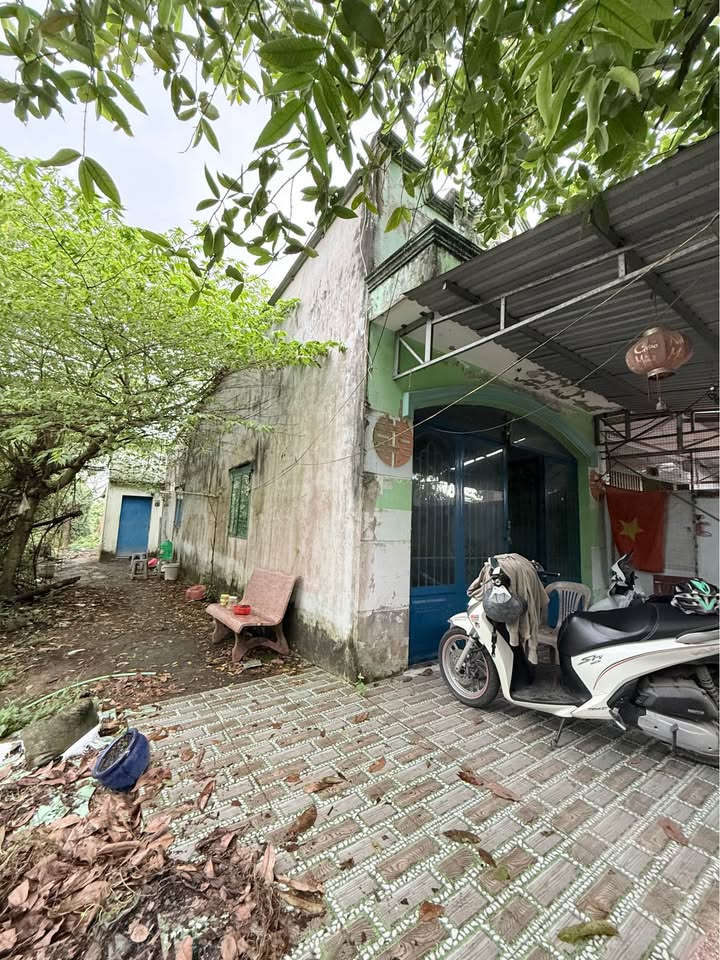 Nhà vườn view sông Phạm Văn Thưởng, Cao Lãnh, giá siêu yêu