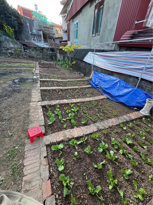 Đất vàng Sơn La mặt tiền 5m, đường ô tô tránh, giá siêu yêu thương