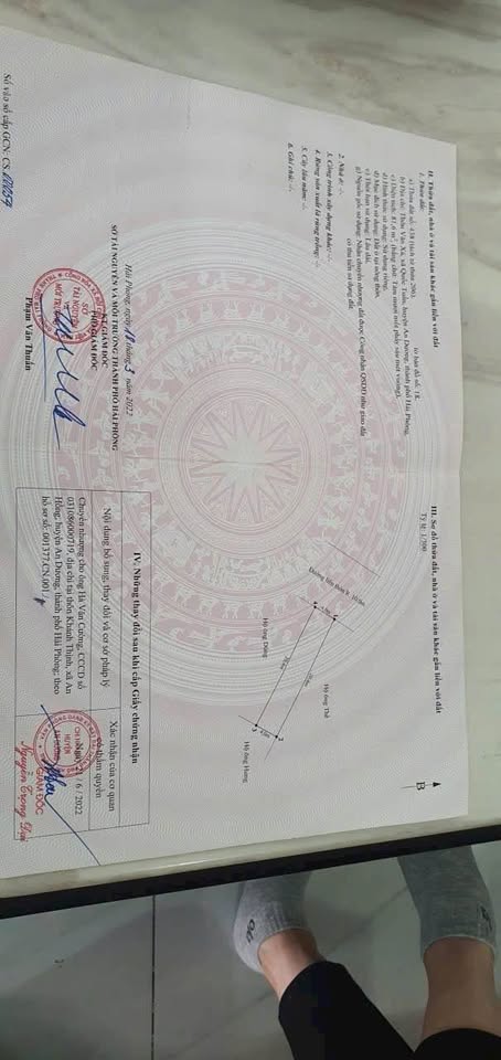 Đất vàng Quốc Tuấn, An Dương - Kinh doanh đỉnh, giá hời