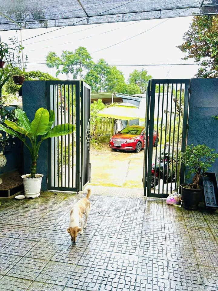 Với diện tích lên đến 115m2 và mặt tiền rộng 6m, nhà mình có đủ không gian cho cả gia đình