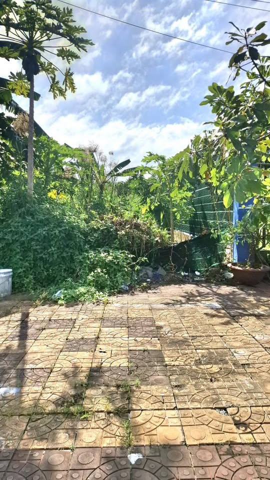 Giao dịch đất nền khu dân cư phường Vị Tân, Cần Thơ