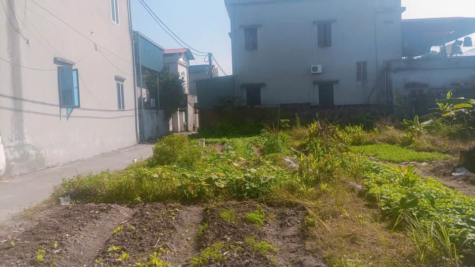 Đất 2 mặt tiền Quảng Phú, Lương Tài, Bắc Ninh, 102m2, đường ô tô