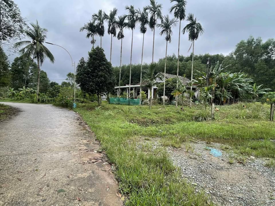 Mảnh đất Vĩnh Hương, Huế 151m2, ngang 6m, sổ hồng trao tay chỉ 2xx triệu