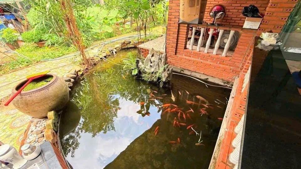 Bán nhà vườn kiên cố với diện tích 1010m2