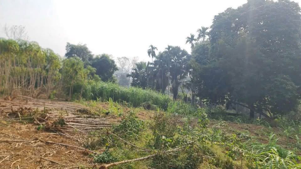 Bán đất thổ cư 103.7m² tại thôn Yên Khoái, Ba Vì, Hà Nội