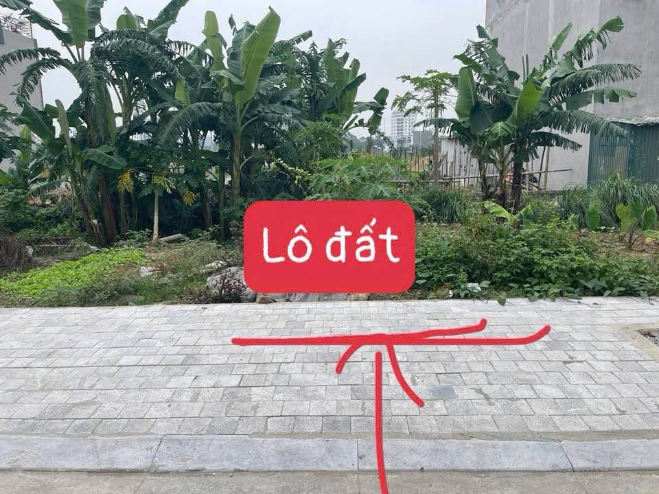 Đất 60m2 mặt tiền 5m, hướng Tây Bắc - Cơ hội vàng tại Đông Hương, Thanh Hóa