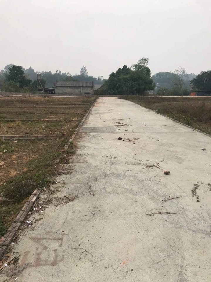 Đất vàng 3 mặt tiền tại Thôn Dộc Sau, cơ hội đầu tư sinh lời vượt trội