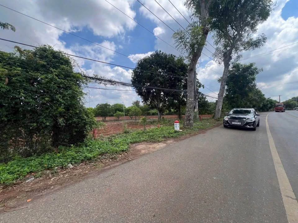 Mặt tiền Quốc lộ 56, Vũng Tàu - Cơ hội đầu tư đất nền hiếm có