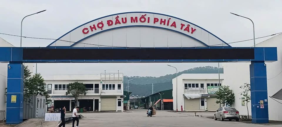 Bán mảnh đất ngay chợ đầu mối Phía Tây, phường Đông Sơn, vừa ở vừa cho thuê, 50m ra phố kinh doanh sầm uất