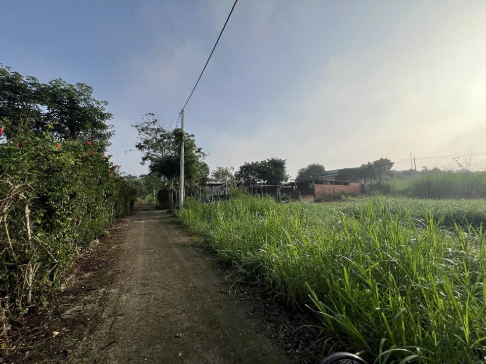 Đất Đá Bạc cũ, 5x24m, 80m2 thổ cư, chỉ 550 triệu chốt nhanh