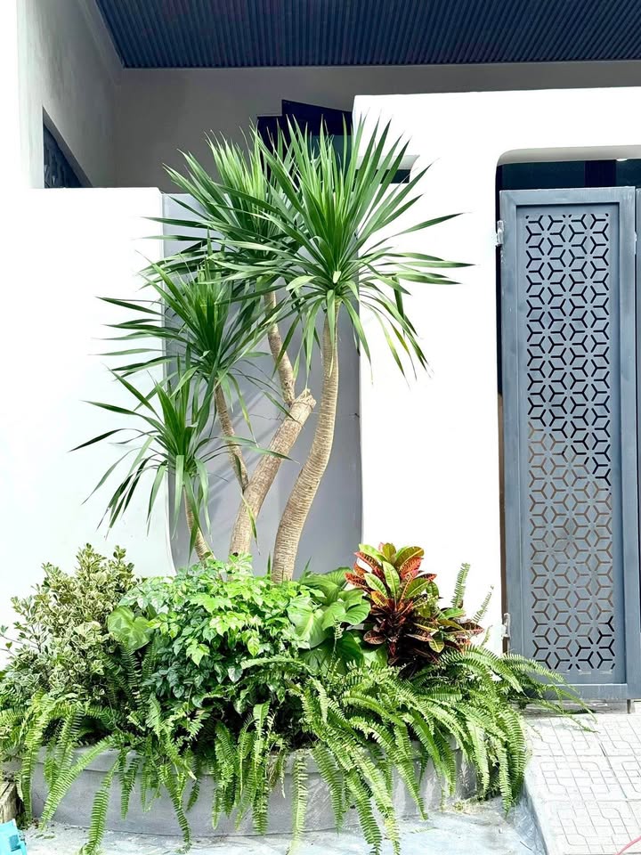 Nhà cấp 4 kiệt oto Huế 77.5m2, 2 ngủ, giá 2 tỷ, sắm nội thất về ở luôn