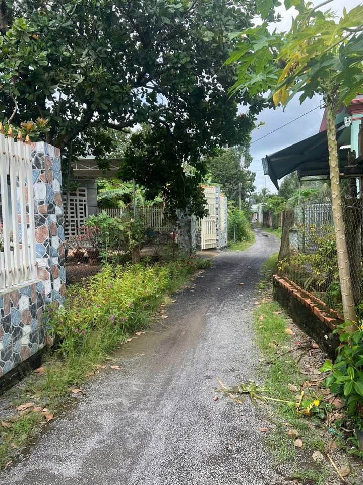 Nhà cấp 4 xinh xắn mặt tiền đường nhựa Gia Canh, Định Quán - Giá yêu thương chỉ 750 triệu