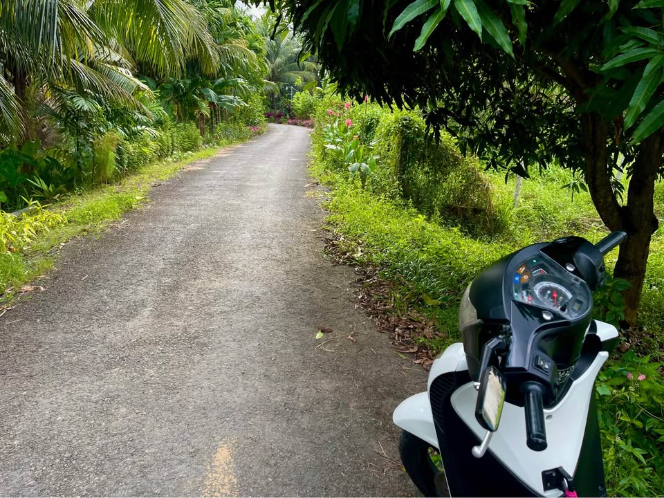 Nền đất mặt tiền nhựa nhánh, Sóc Thát, Trà Vinh - An cư lạc nghiệp