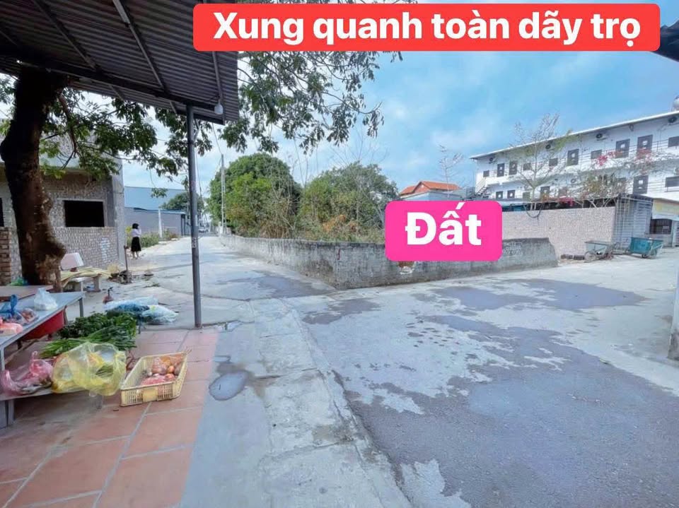 Đất vàng Làng Bầu Kim Chung, kinh doanh đỉnh, đầu tư phát lộc